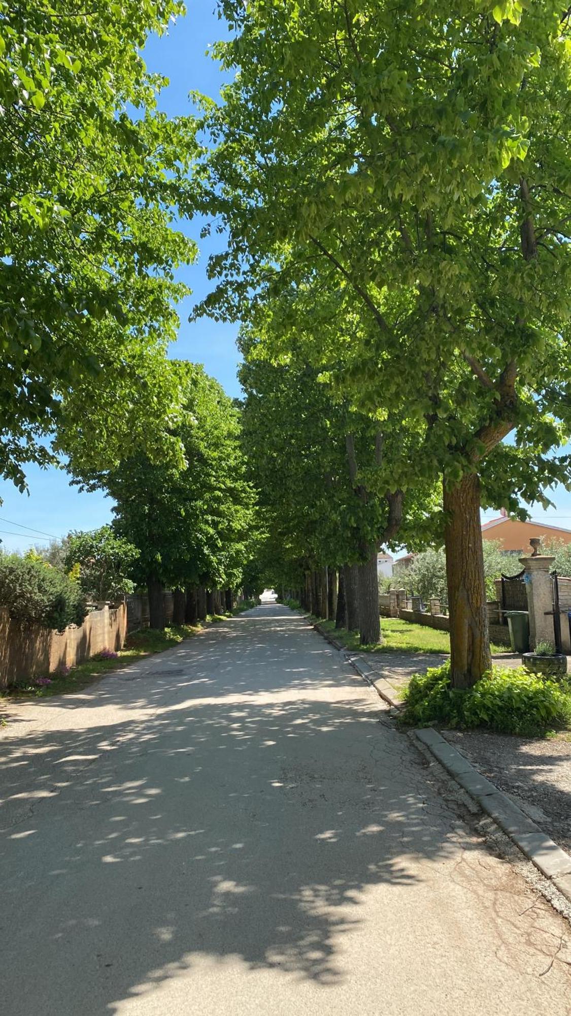 Apartment Vodnjan Εξωτερικό φωτογραφία